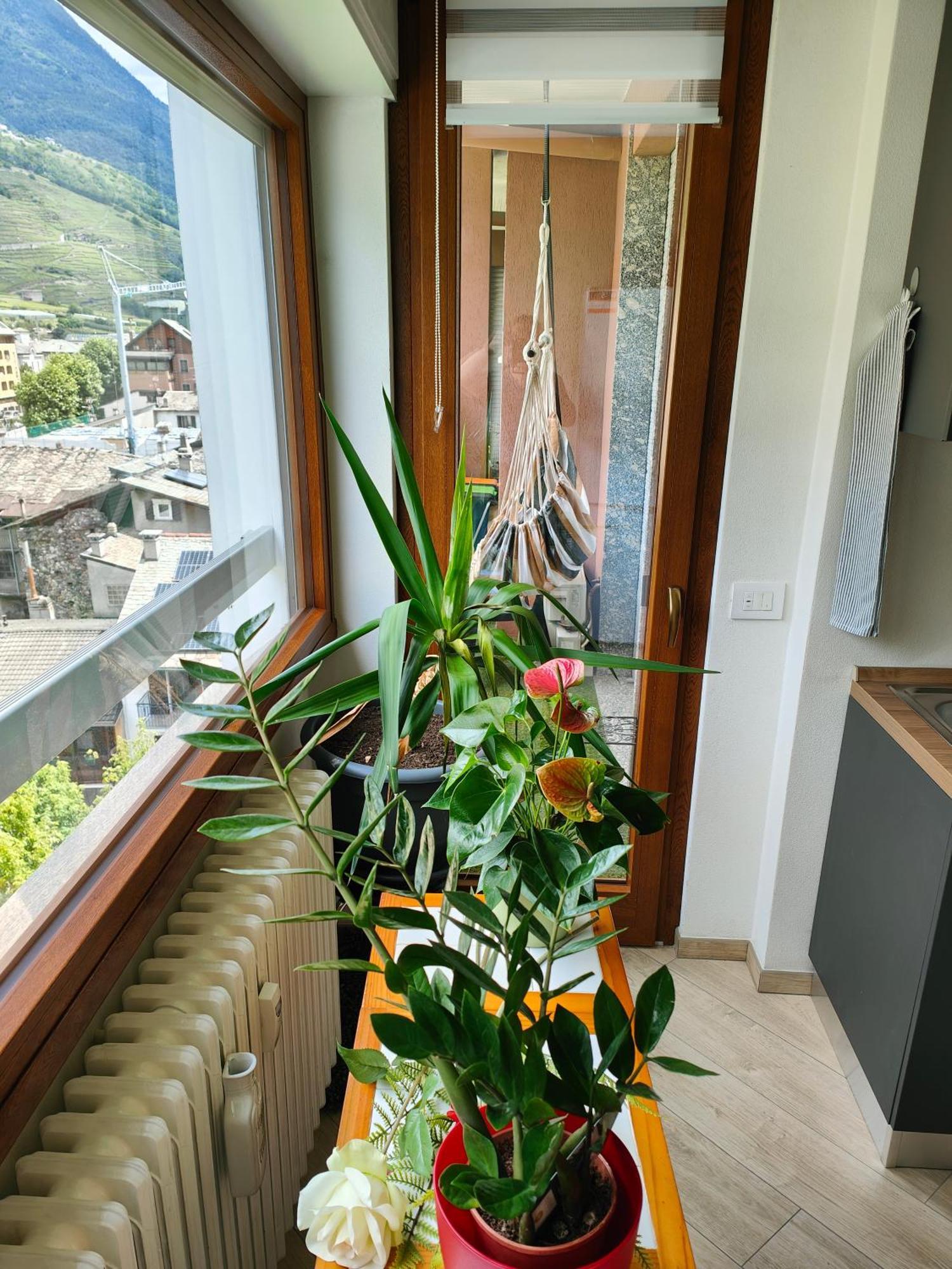 Ferienwohnung Alfiume B Tirano Exterior foto
