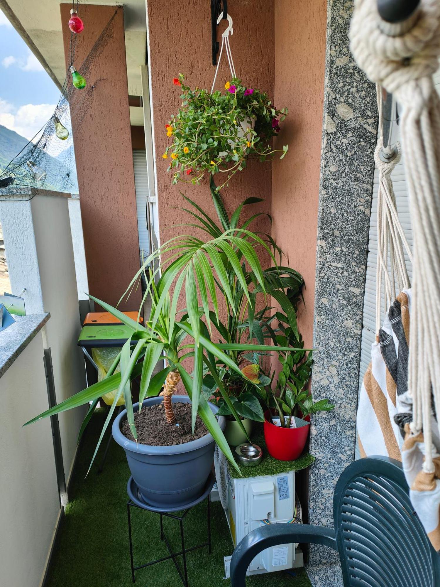 Ferienwohnung Alfiume B Tirano Exterior foto